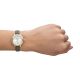 Emporio Armani Three-Hand Taupe Leather Watch - AR11526