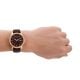 Armani Exchange Three-Hand Day-Date Brown Leather Watch - AX1740