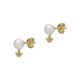 Emporio Armani Women's White Pearl Stud Earrings, EG3583710