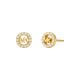 Michael Kors Women's Premium Kors MK Gold-Tone Sterling Silver Logo Stud Earrings -  MKC1727CZ710