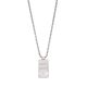 Emporio Armani Men's Stainless Steel Dog Tag Necklace -  EGS3078040