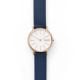 Skagen Women's Signatur Rose Gold Round Leather Watch - SKW2838