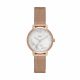 Dkny Women's The Modernist Rose Gold Round Stainless Steel Watch - NY2703