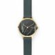 Anita Green Leather Stone Watch - SKW2720