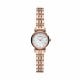 Emporio Armani Gianni T Rose Gold Stainless Steel - AR11203